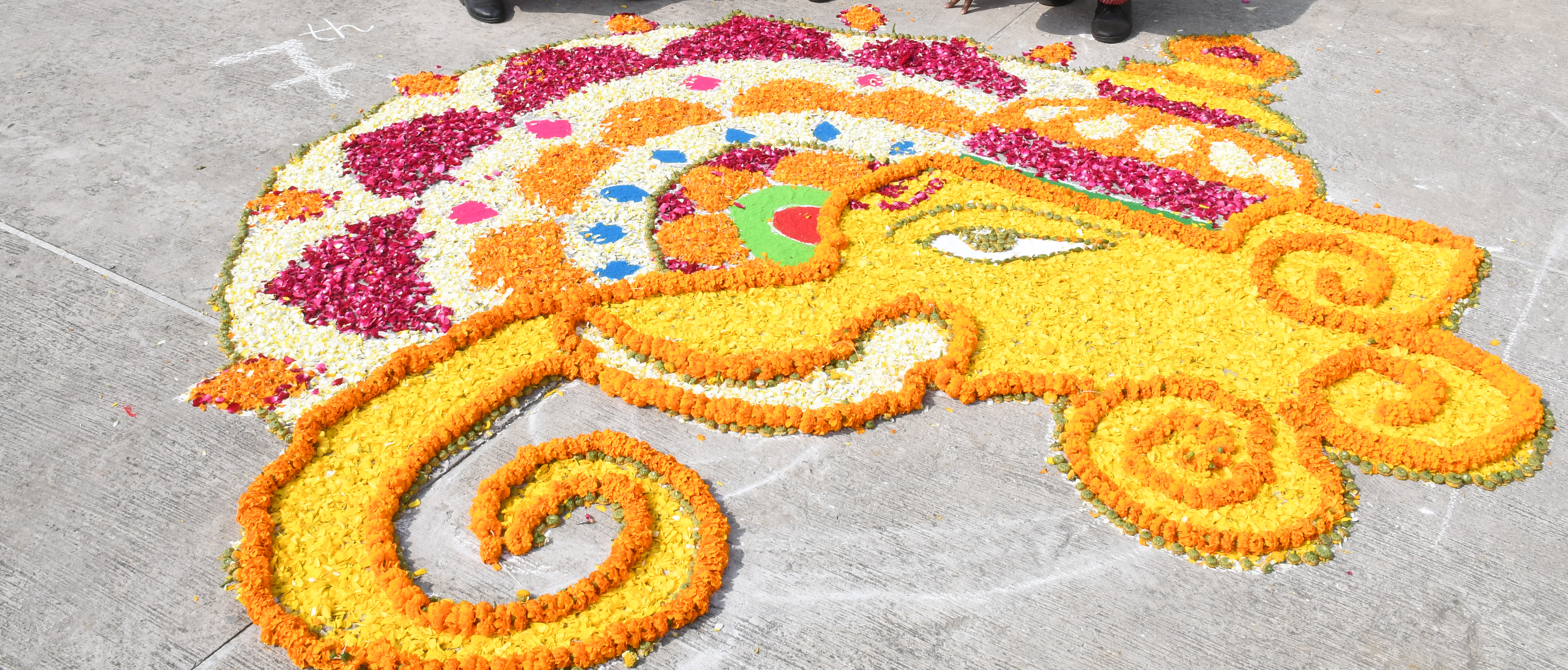 Schools in Prayagraj